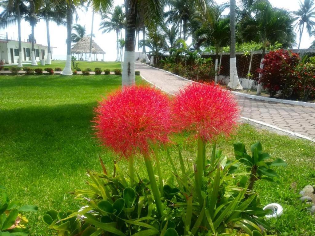 Hotel Mariam Tecolutla Luaran gambar