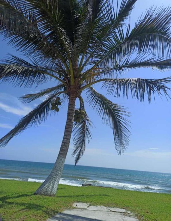 Hotel Mariam Tecolutla Luaran gambar